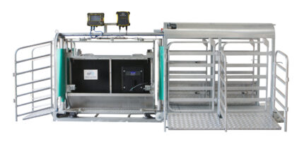 5-Way Sheep Auto Drafter