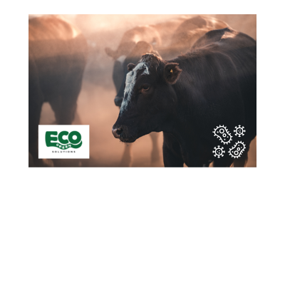 Veterinarian Products