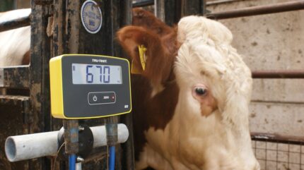 S3 Scale Indicator